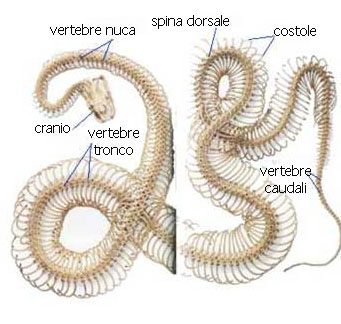 Trattamento di blocco di una vita